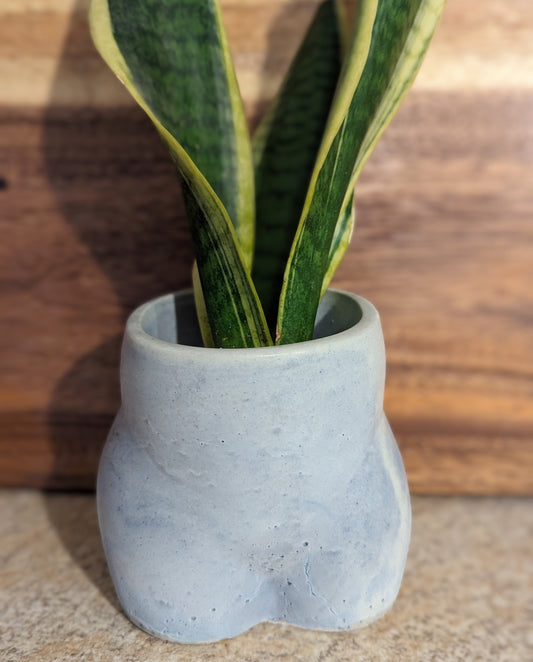 Cellulite booty plant pot with drainage hole