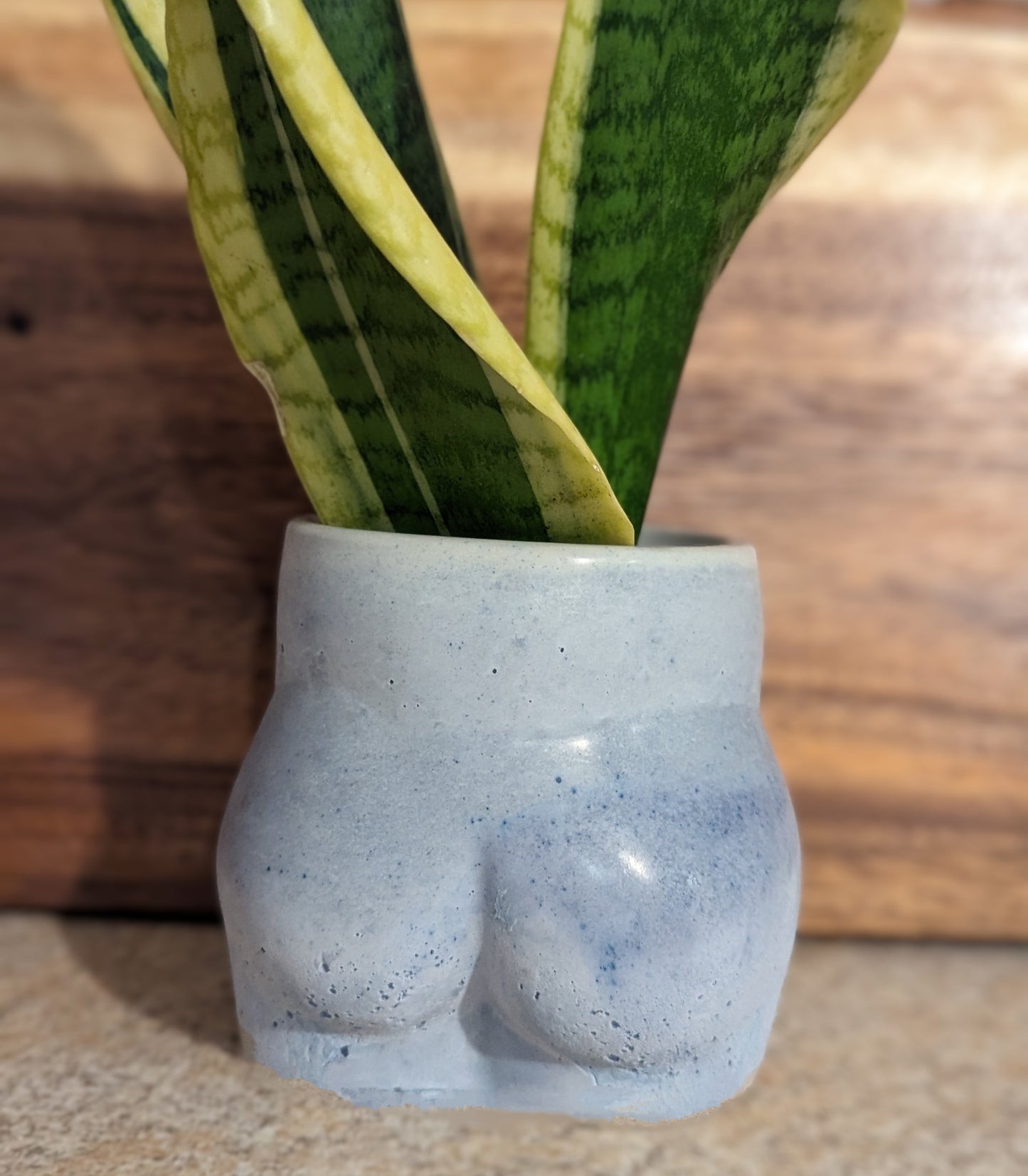 Cellulite booty plant pot with drainage hole